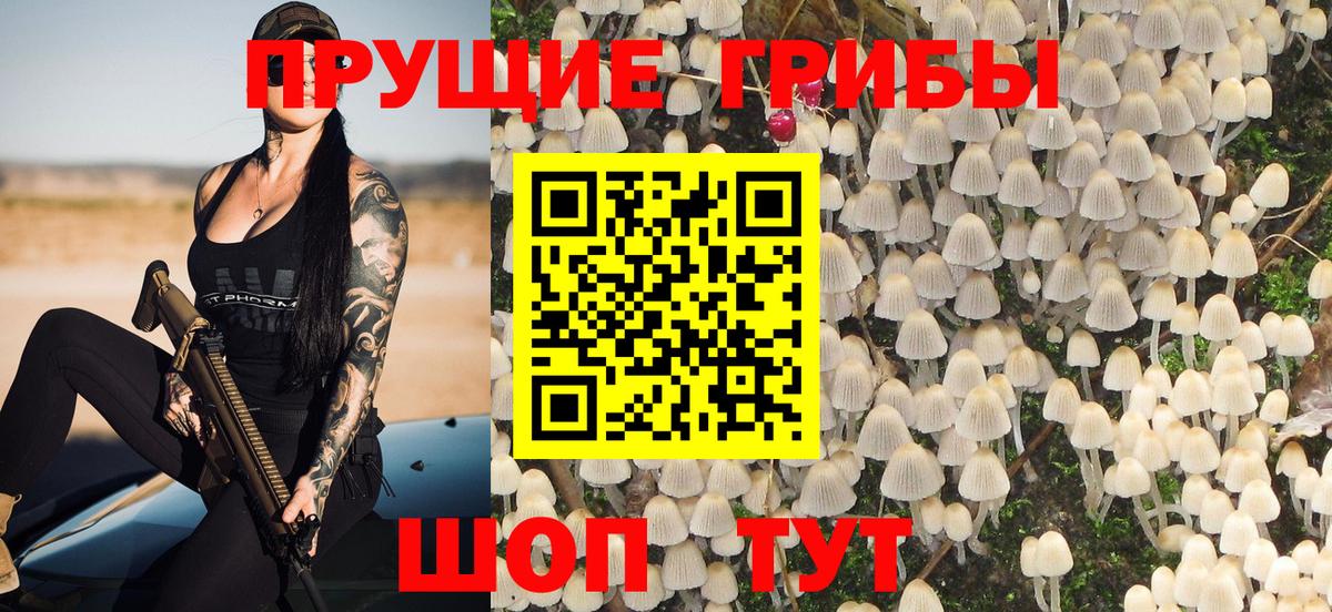 Галлюциногенные грибы Cubensis Курчалой