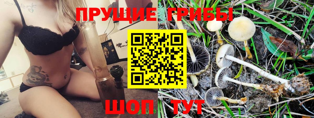 Курчалой  Псилоцибиновые грибы Cubensis  Галлюциногенные грибы Magic Shrooms  Вход с VPN 
